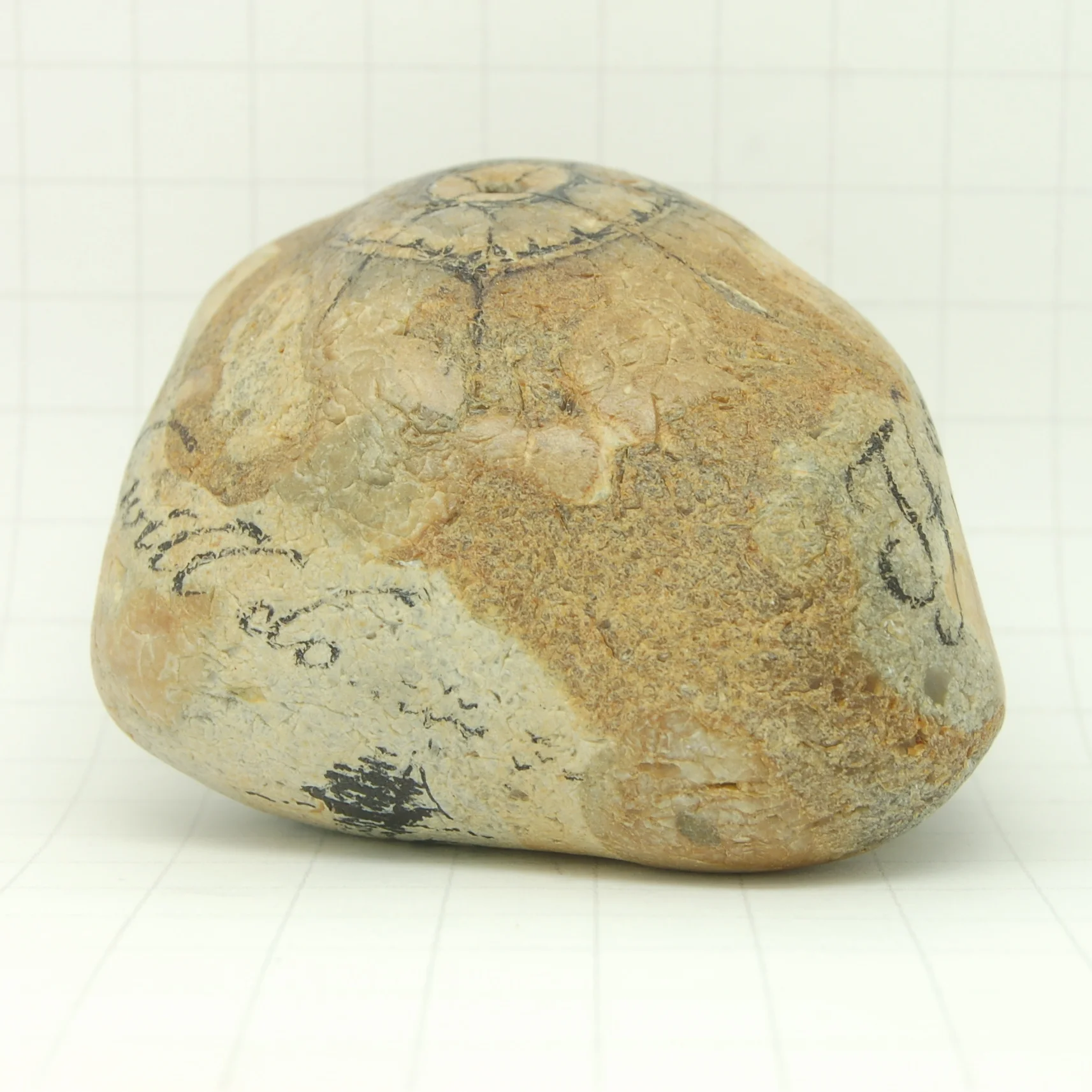 Compass-Ship. If you don't know....2016 5.JPG