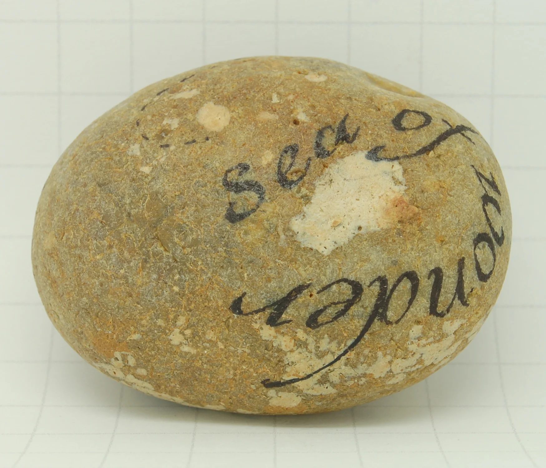 Isles of Adoration 2016 4 .JPG