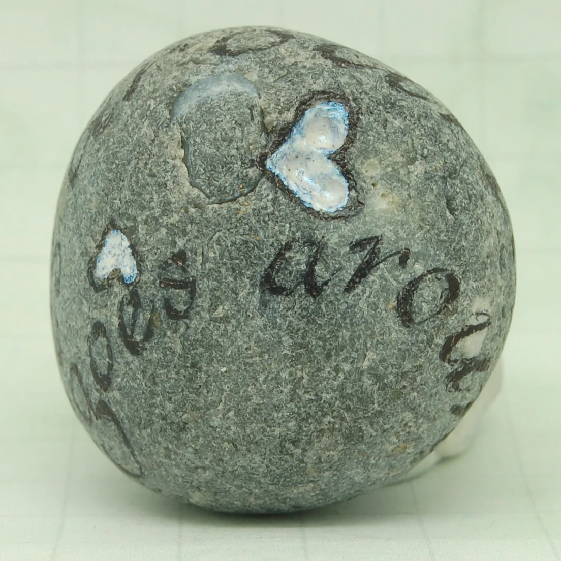DSC_9510.JPG