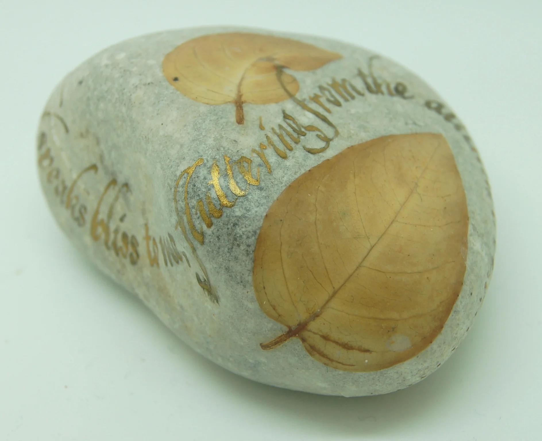 DSC_5933 copy l;ighter .JPG