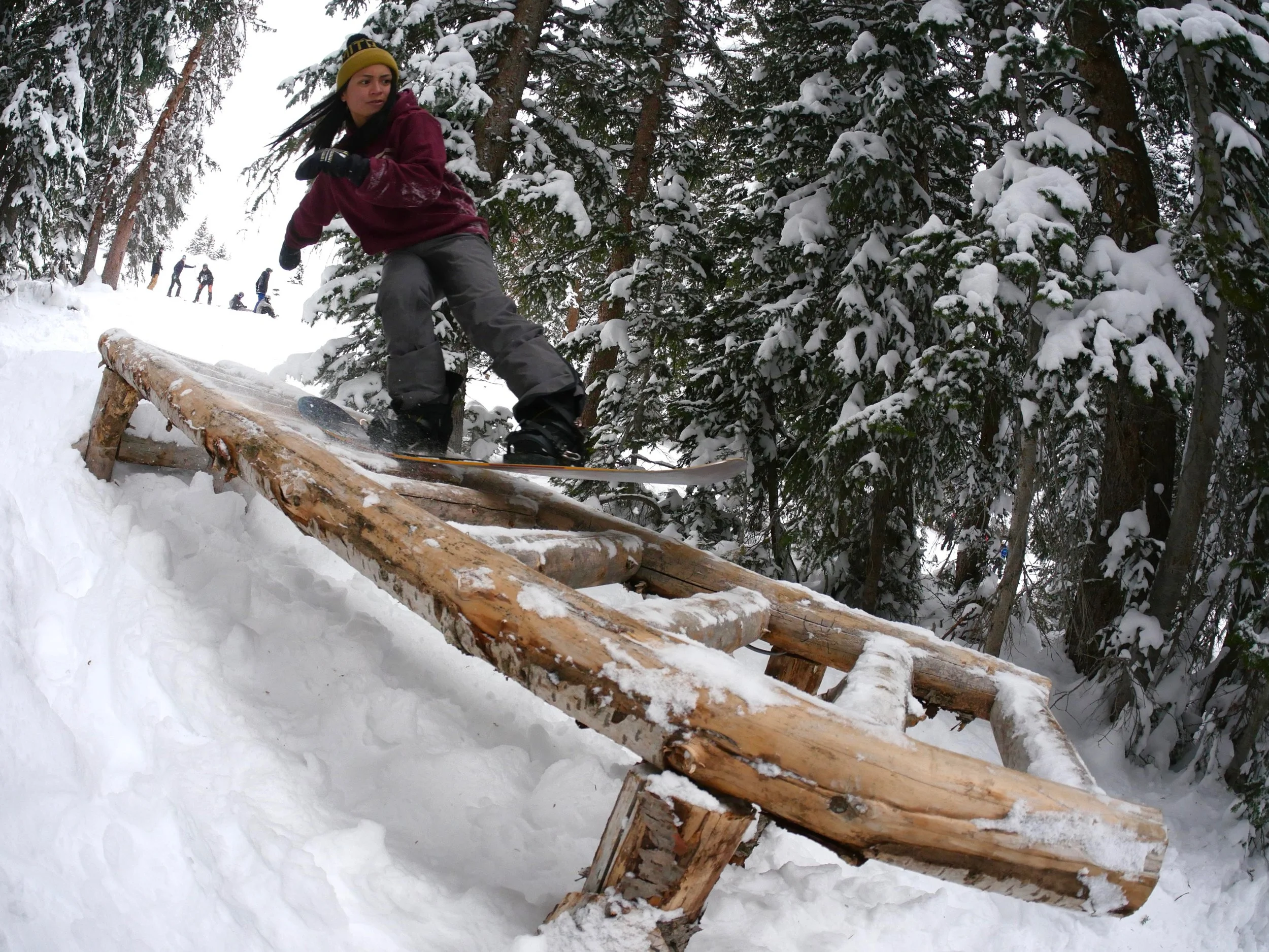 nirvana sw tailpress ladder log_tb.jpg