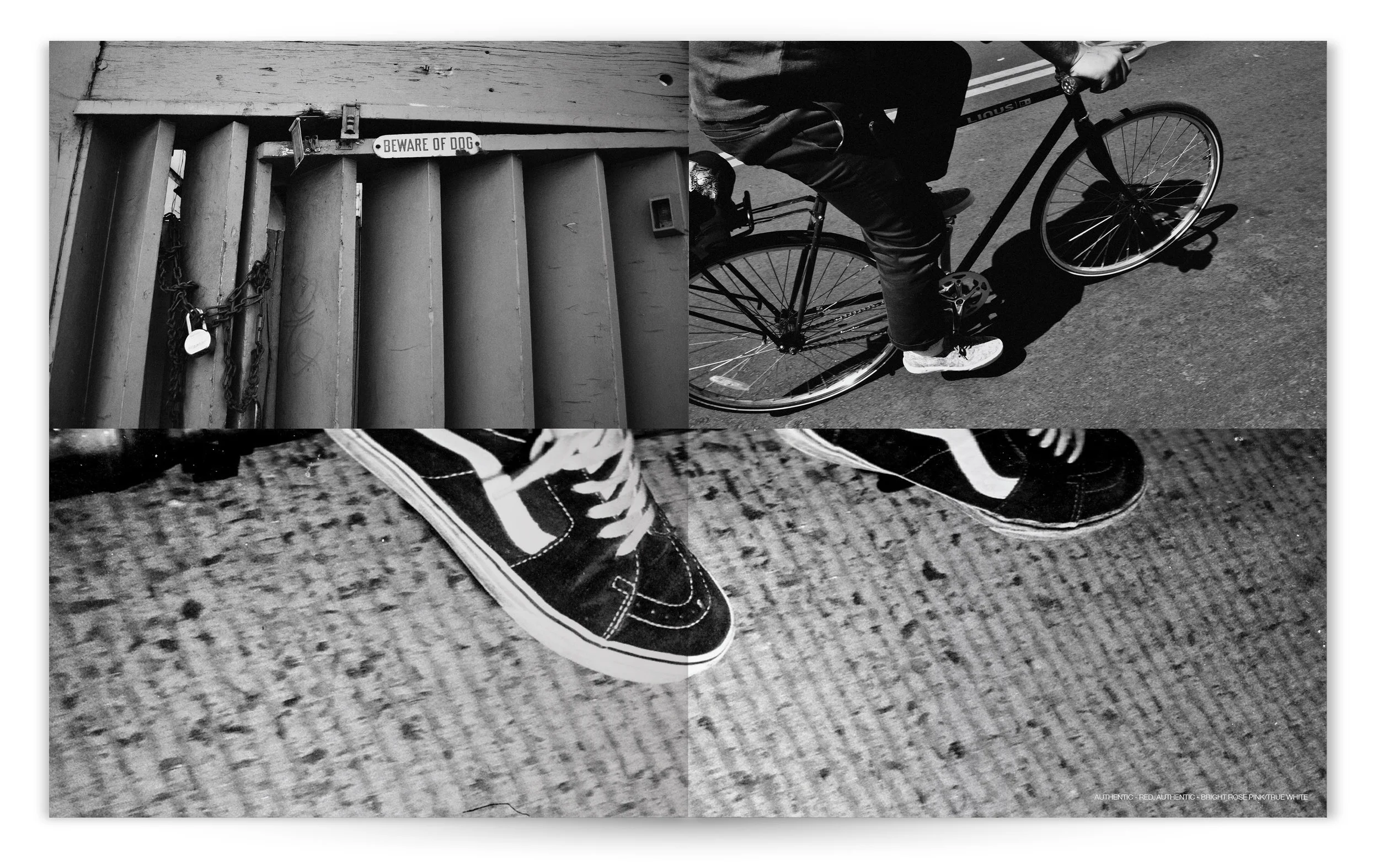 VANS_CLASSIC&FAM_ISSUE_03_003.jpg