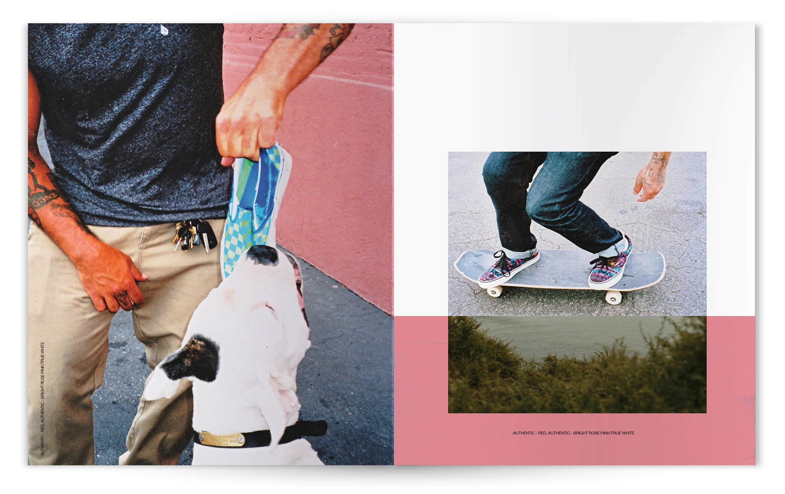 VANS_CLASSIC&FAM_ISSUE_03_004.jpg