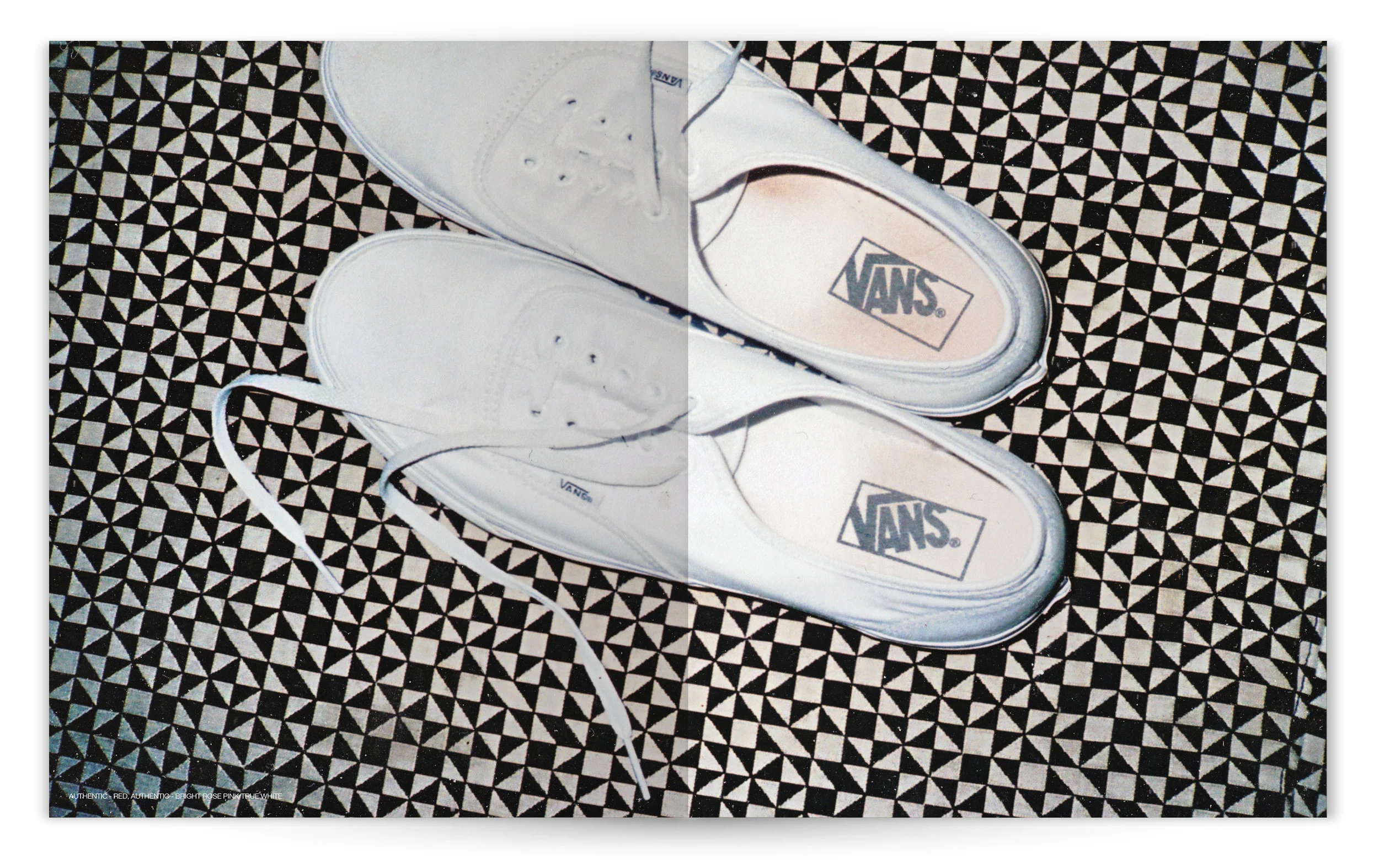 VANS_CLASSIC&FAM_ISSUE_03_007.jpg