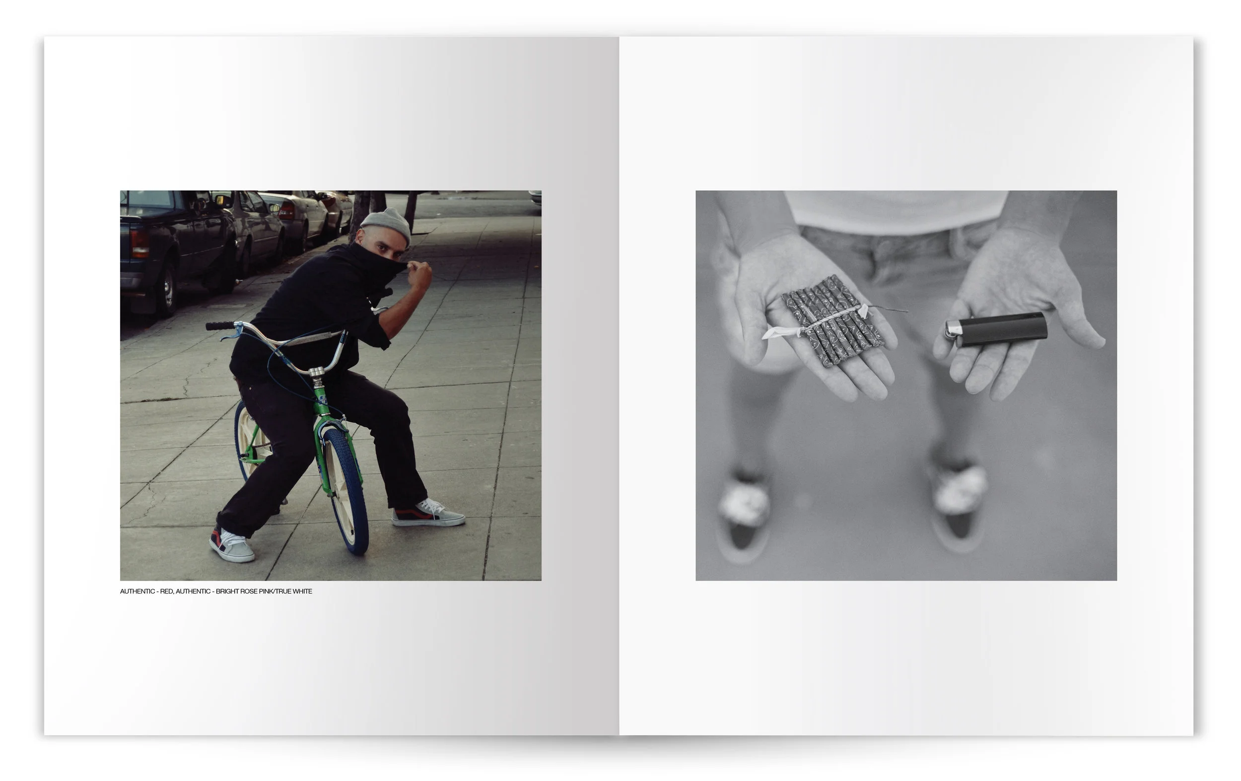 VANS_CLASSIC&FAM_ISSUE_03_010.jpg