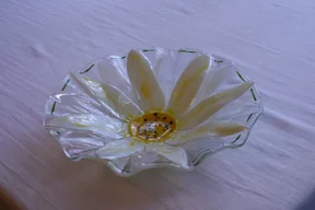 Flower burst-White/yellow