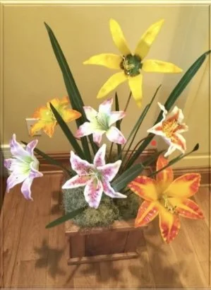 Planted Lillies