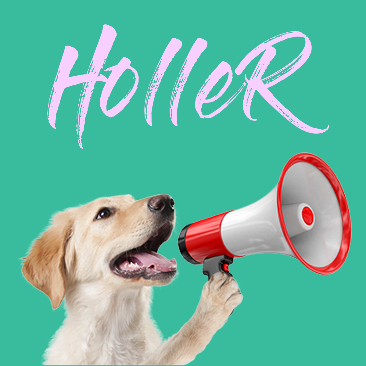 holler.png