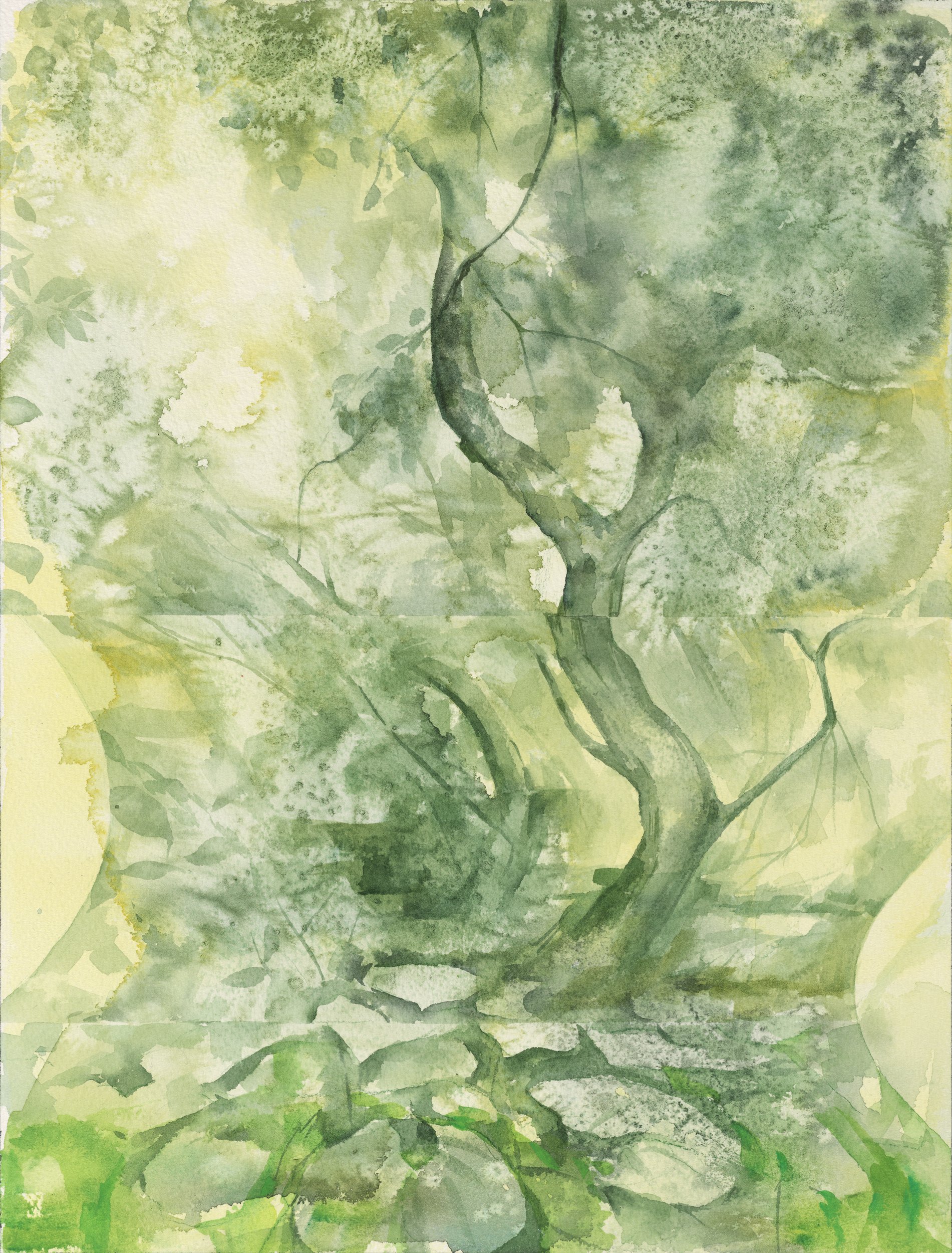 SYLVAN IV