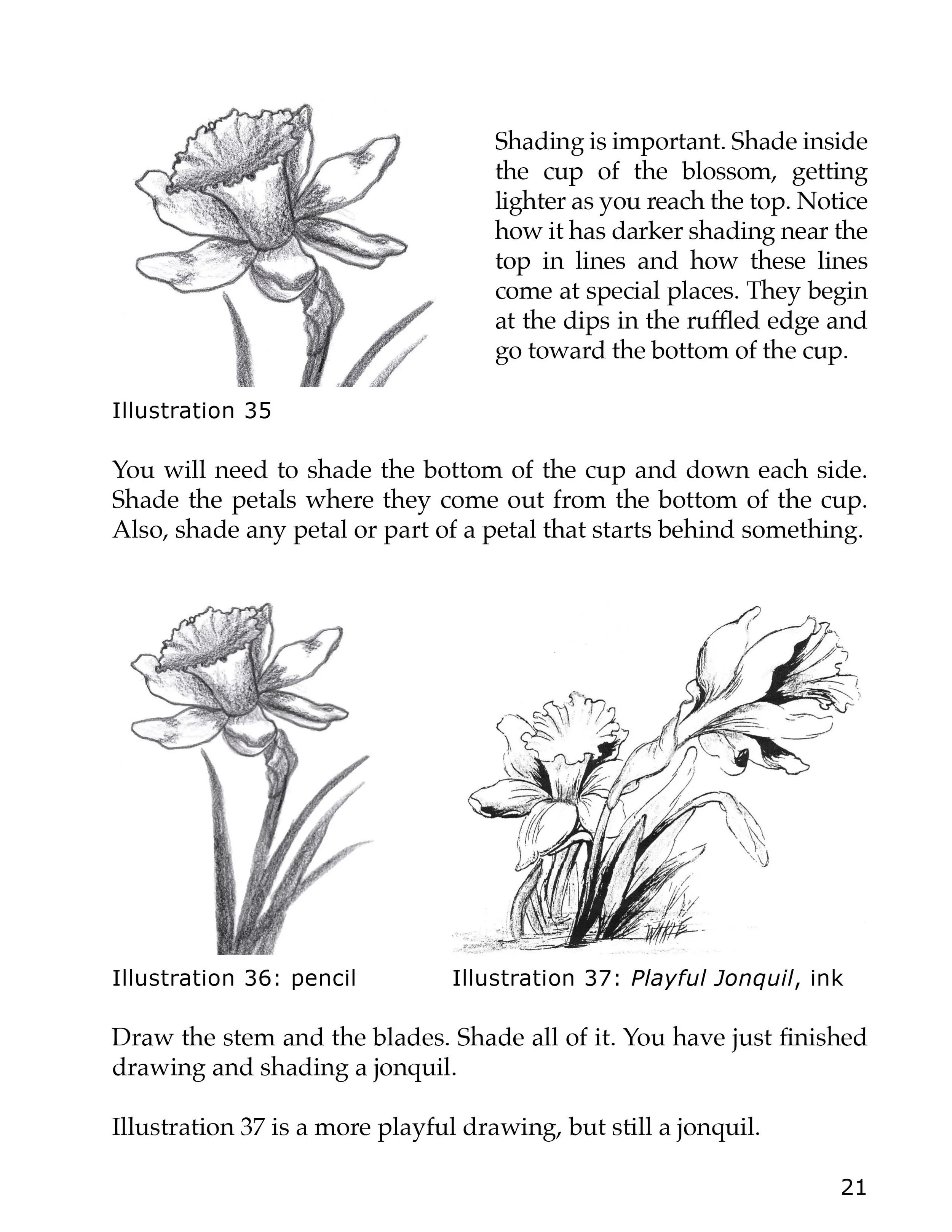 Drawing_p21-Jonquil.jpg