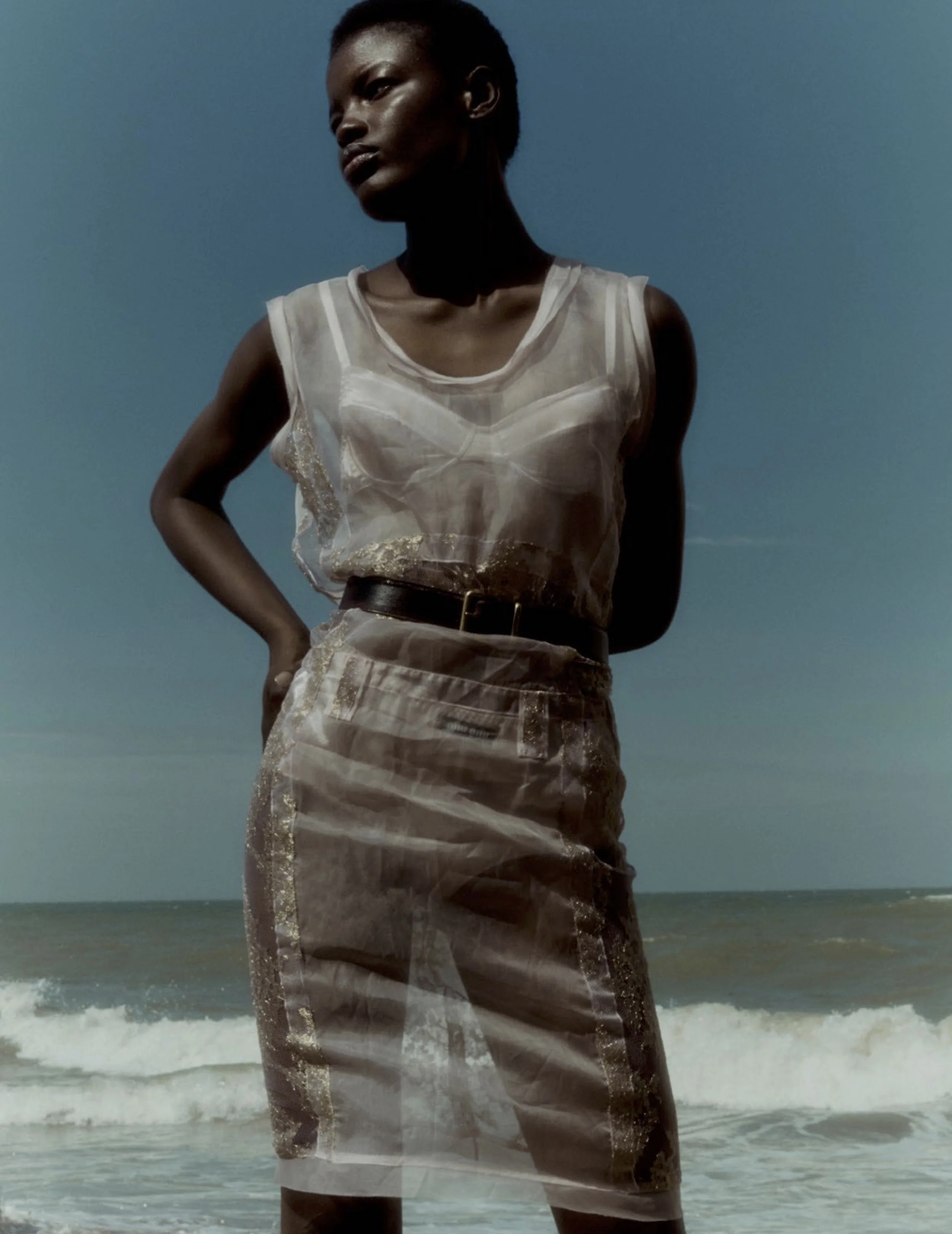 A woman standing on the beach with her hands on her hips, wearing a sheer top and skirt, with the ocean and sky in the background.