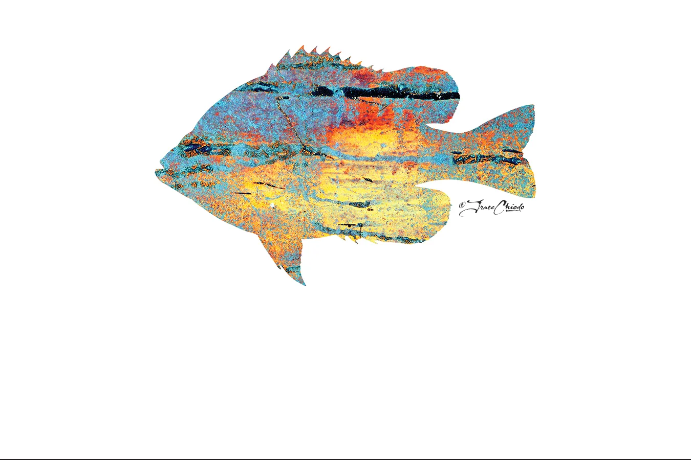 Painted Pumpkinseed