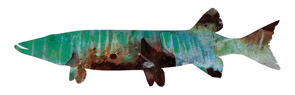 Fish_SummerTonic_1200_web.jpg
