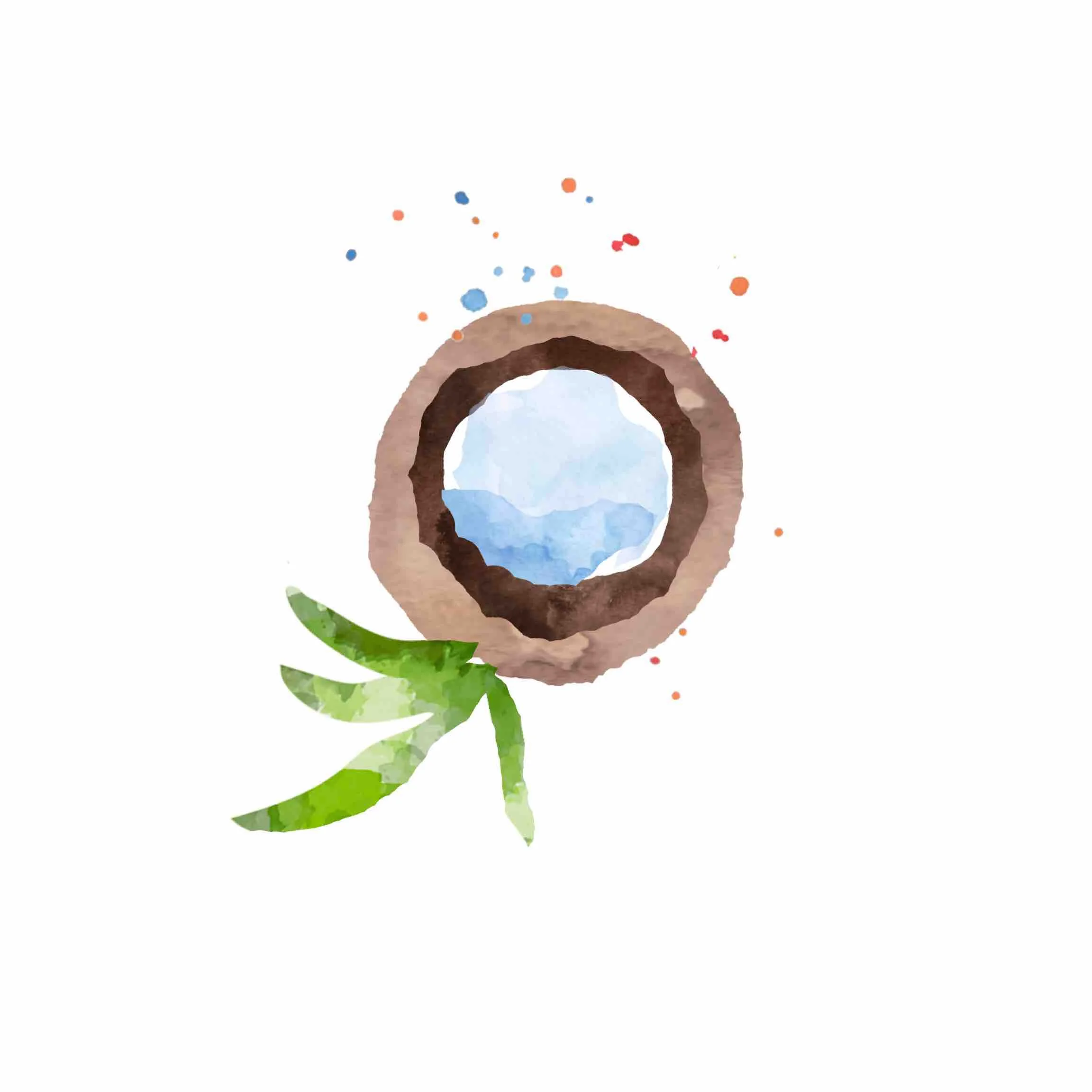 Delta - Decalactone Natural #MC004 Sweet Coconut Odor