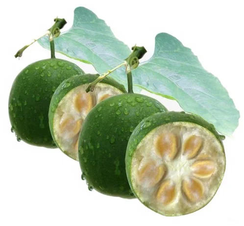 monk fruit .jpg