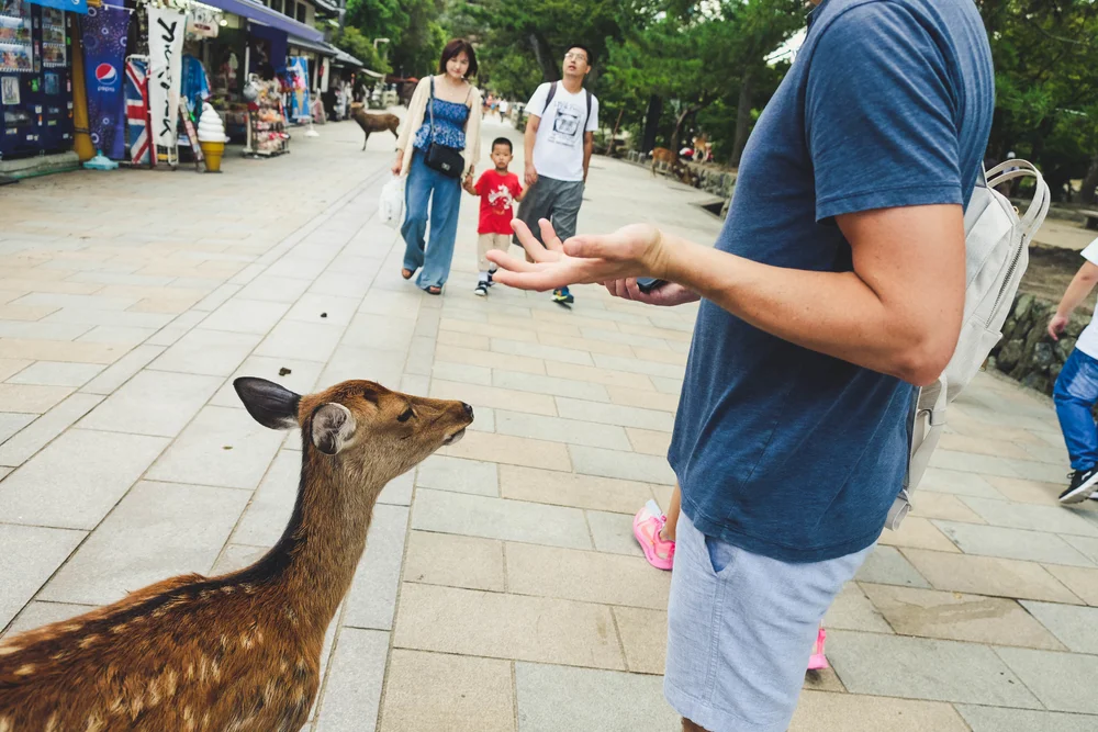 9.3.19_kyoto-43.jpg
