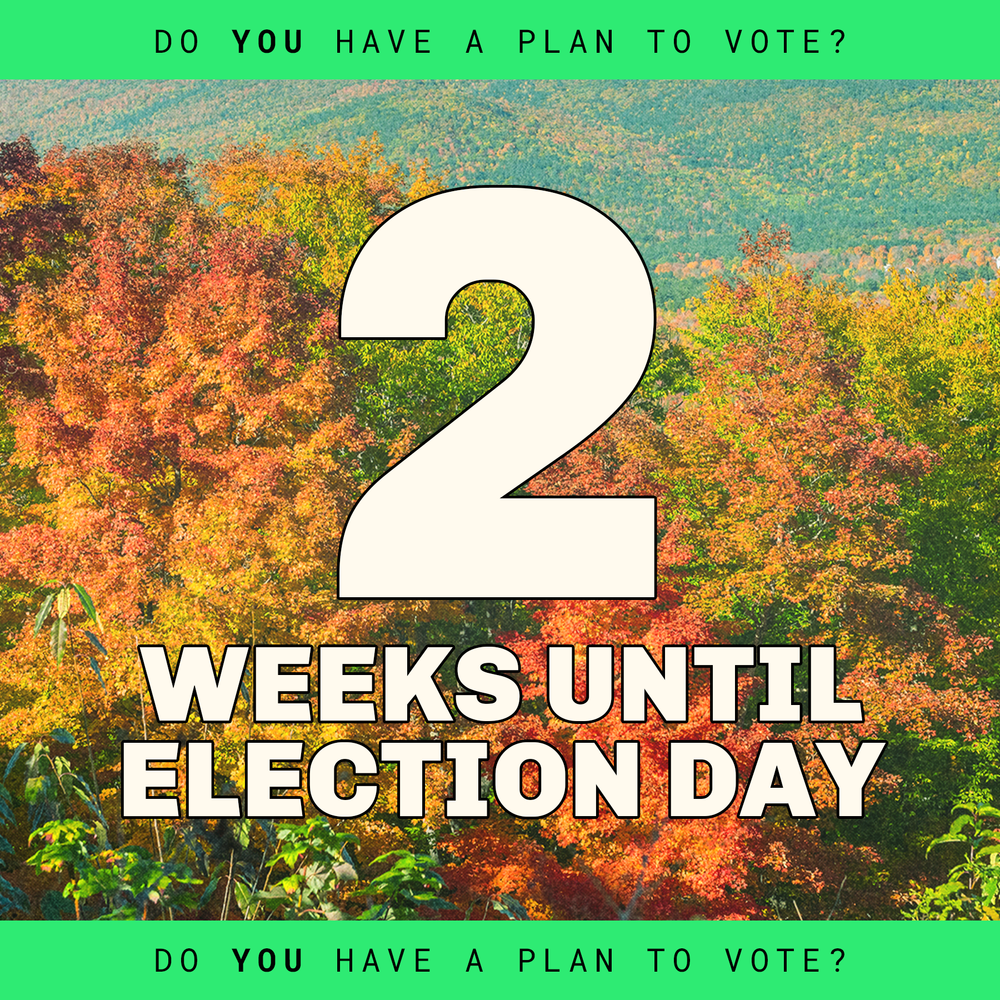 CP_Platforms_election-day-countdown-template_sq_1.png