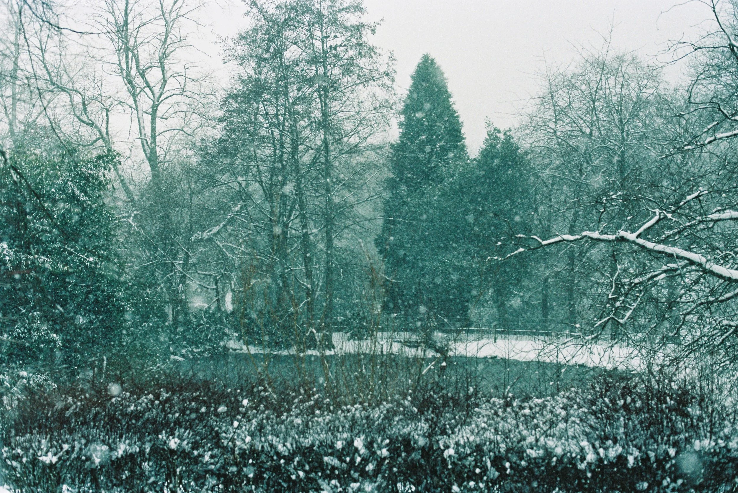 Getting plastic surgery