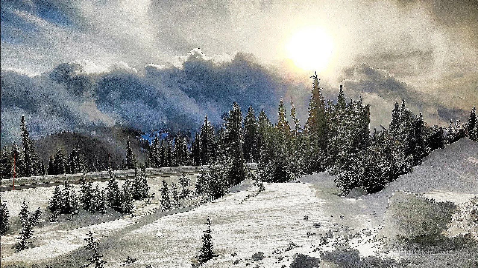 Mount Rainier National Park (Washington, USA)