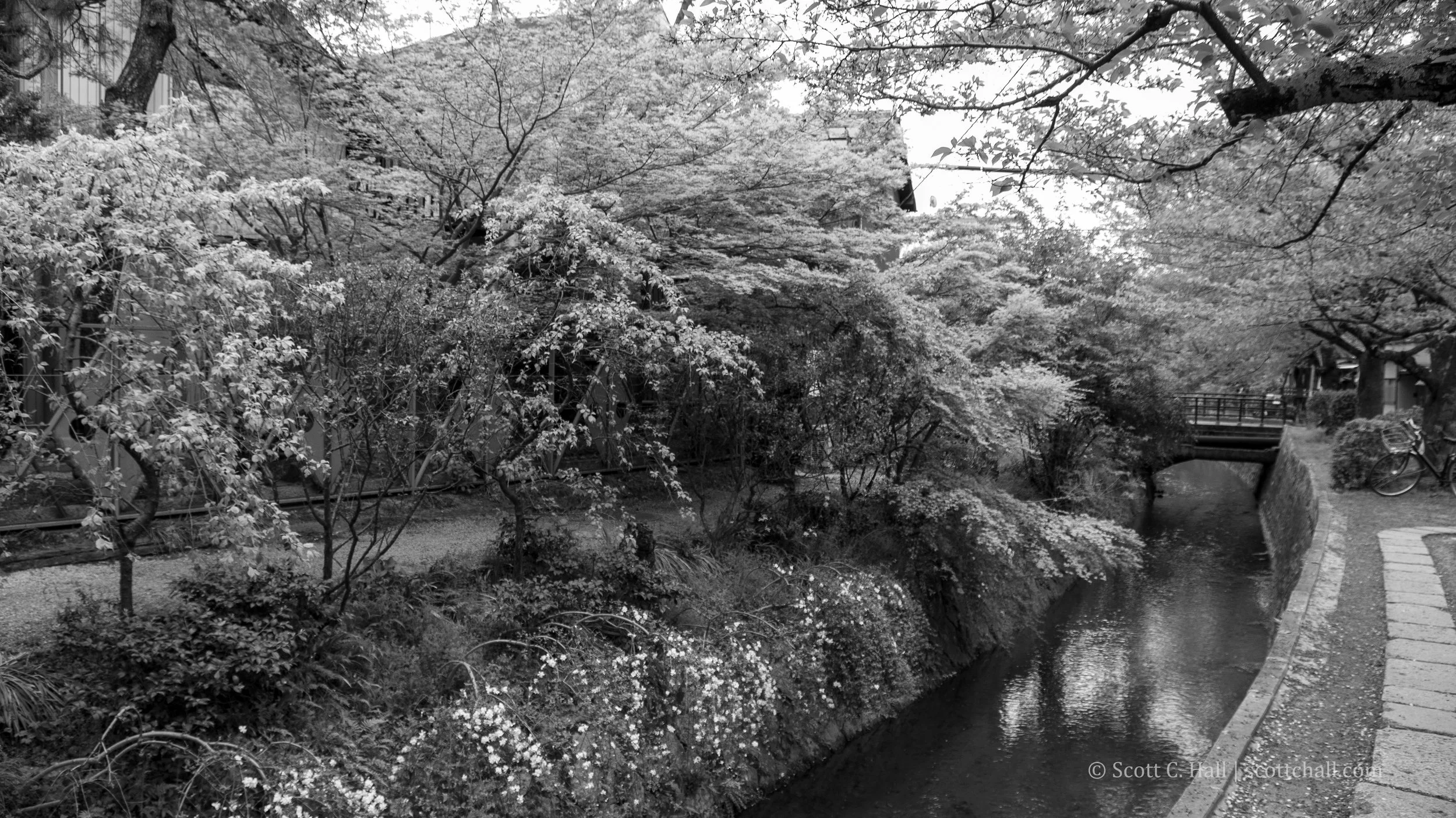 Philosopher’s Path (Kyoto, Japan)
