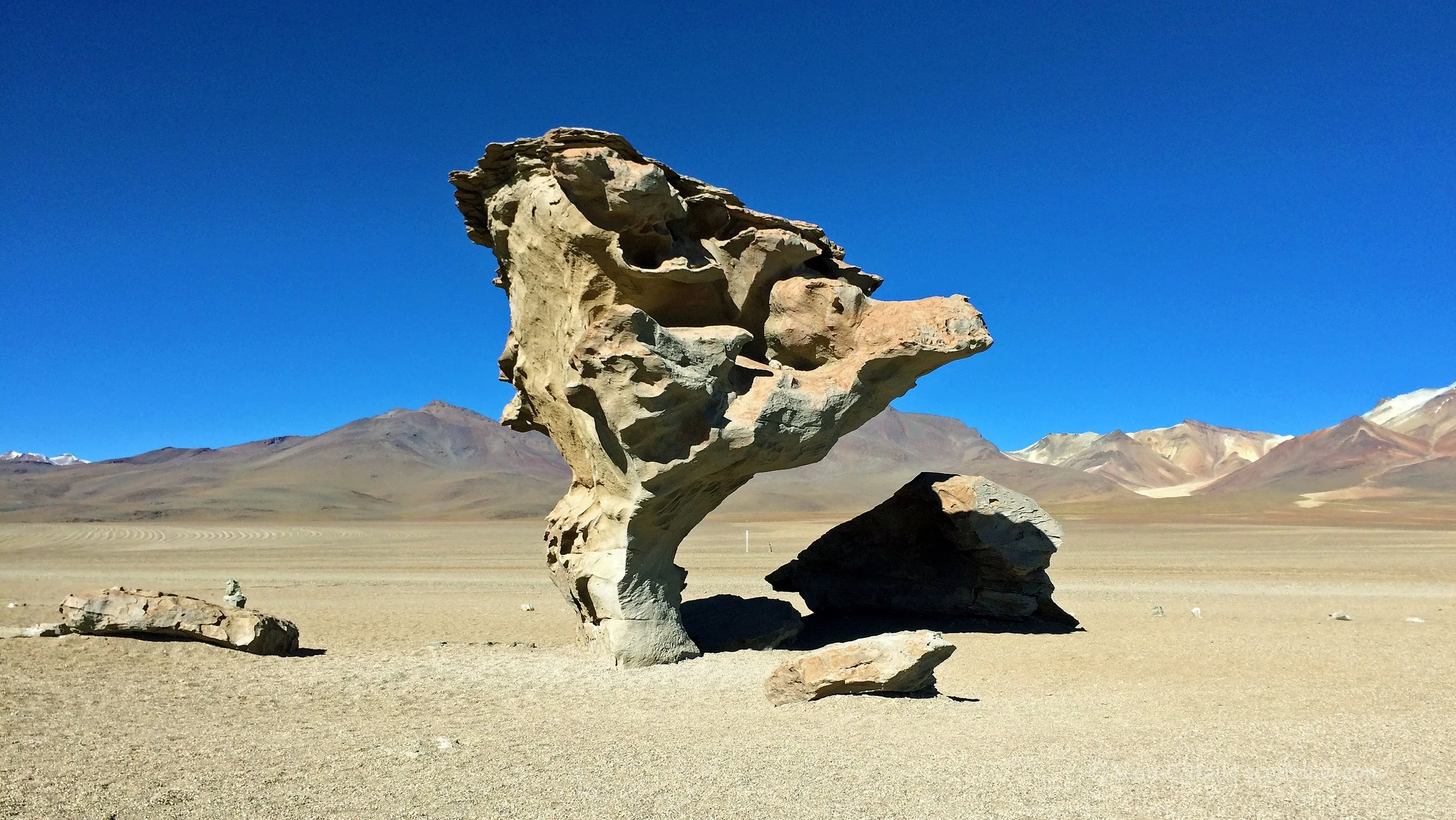 Árbol de Piedra (Siloli Desert, Bolivia)