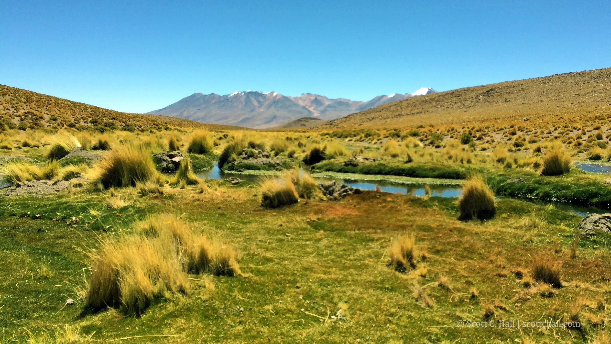 Altiplano Wetlands (Eduardo Avaroa Reserve, Bolivia)