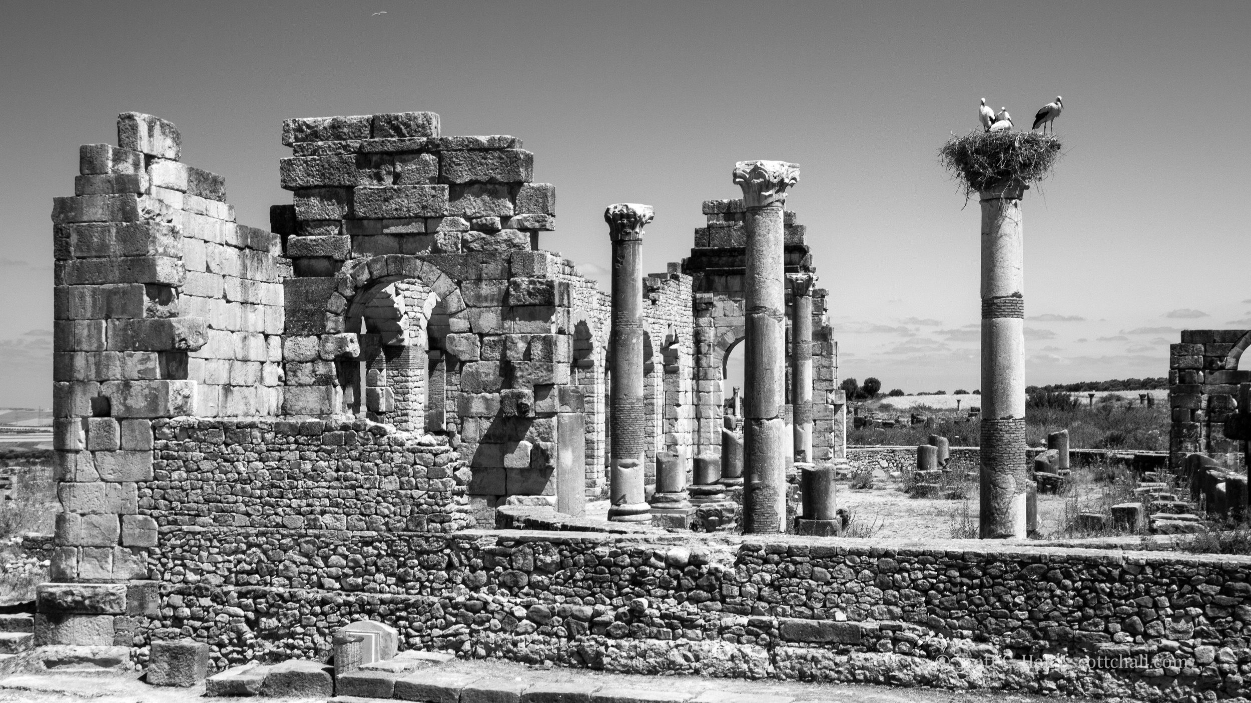 Volubilis Roman Ruins (near Moulay Idriss Zerhoun, Morocco)