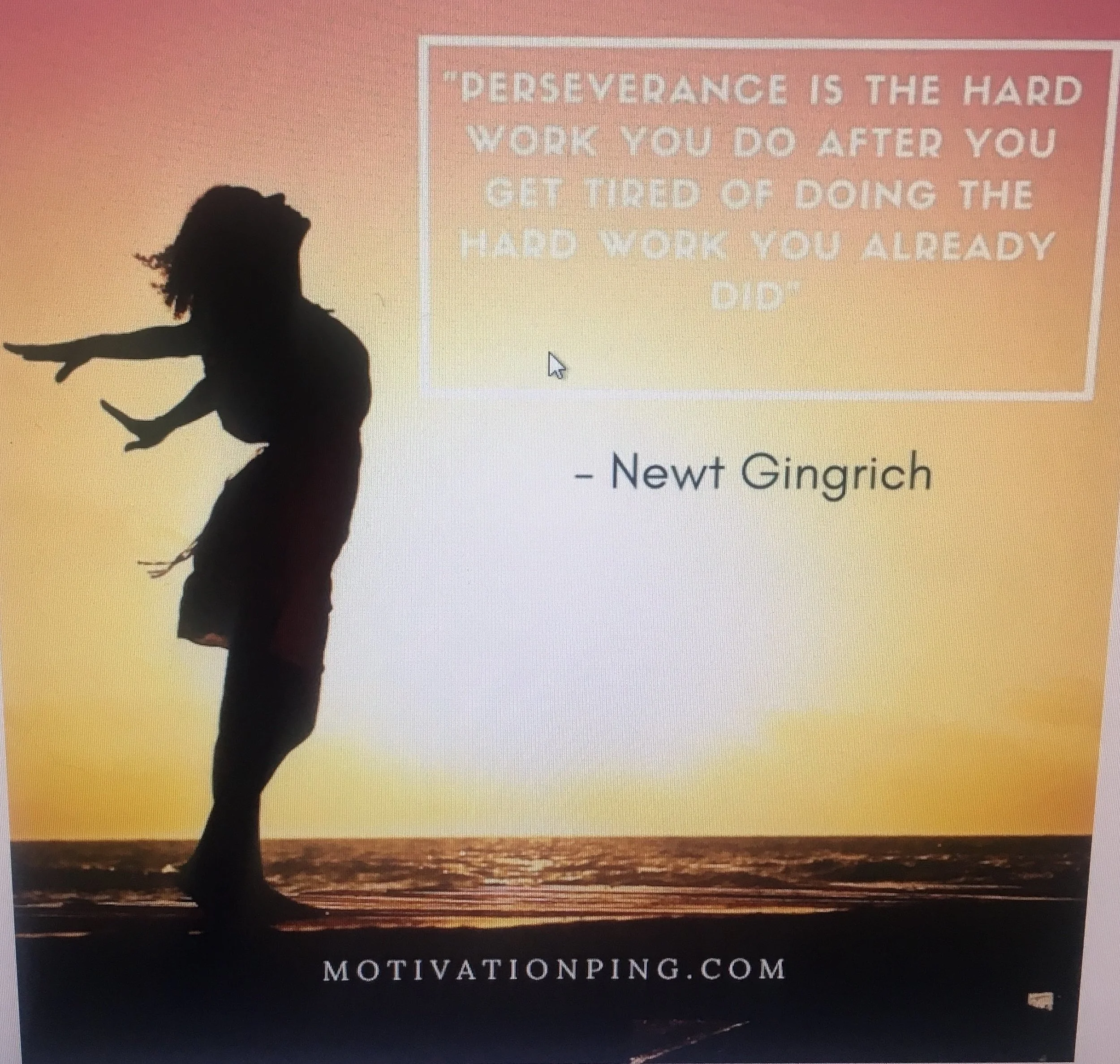 Screengrab from www.motivationping.com