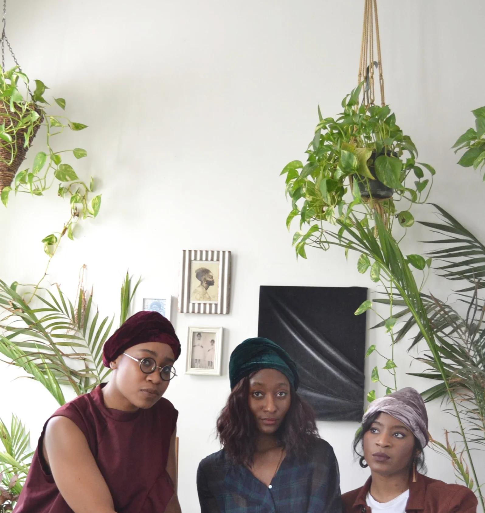 Velvet group1.jpeg