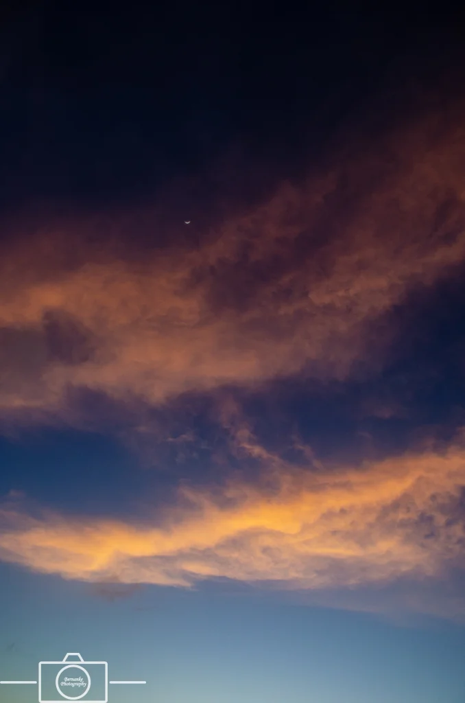 20180519_202114_65_MB_DRTO_Week 2_Print.jpg