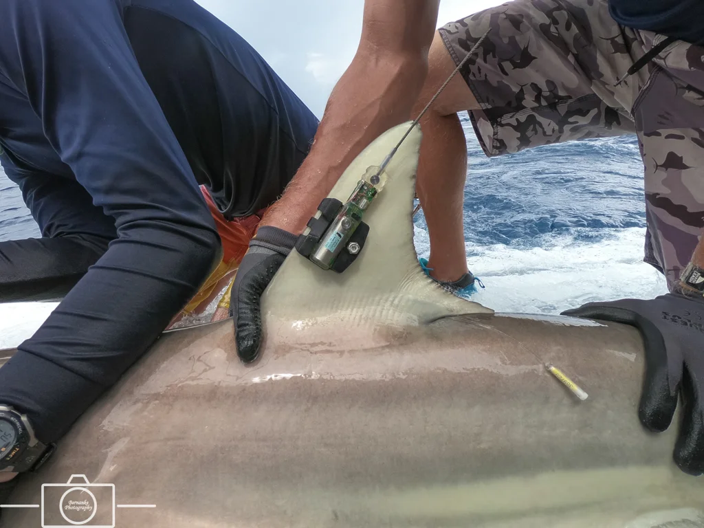 20180520_114909_86_MB_DRTO_Week 2_Print.jpg