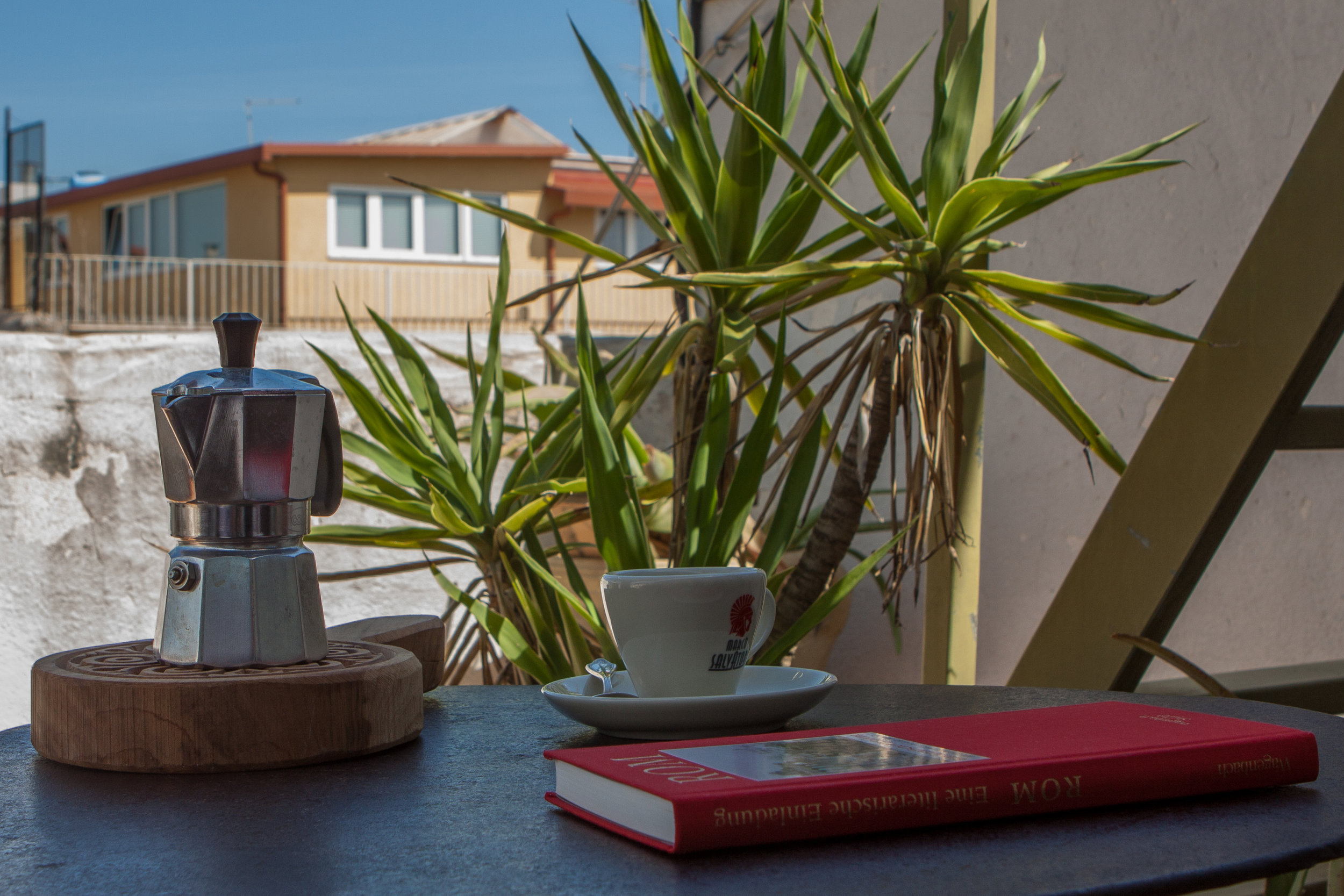 Rom VFT 29 terrazza.jpg