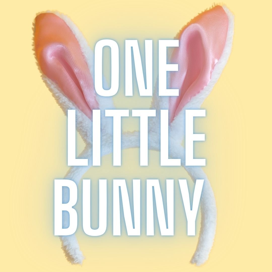 ONE BUNNY BUTTON.jpg