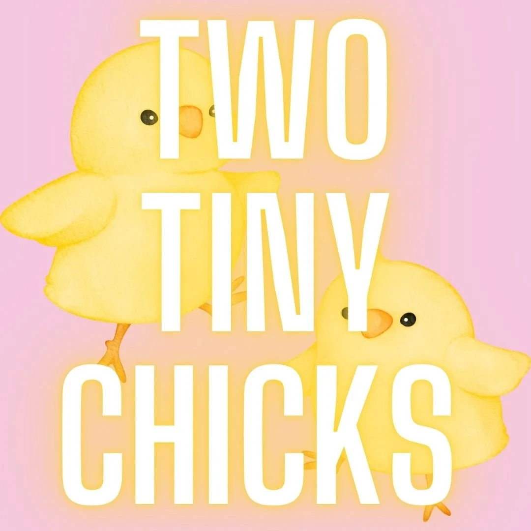 TWO CHICKS BUTTON.jpg