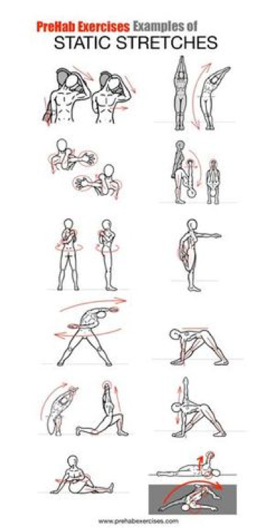 Stretching image 1 .png