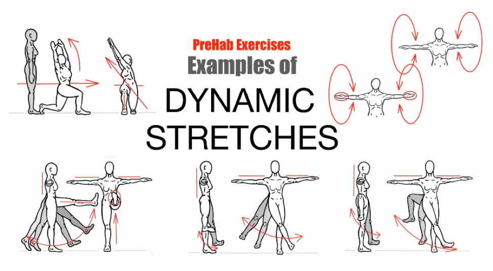 Stretching 2.png