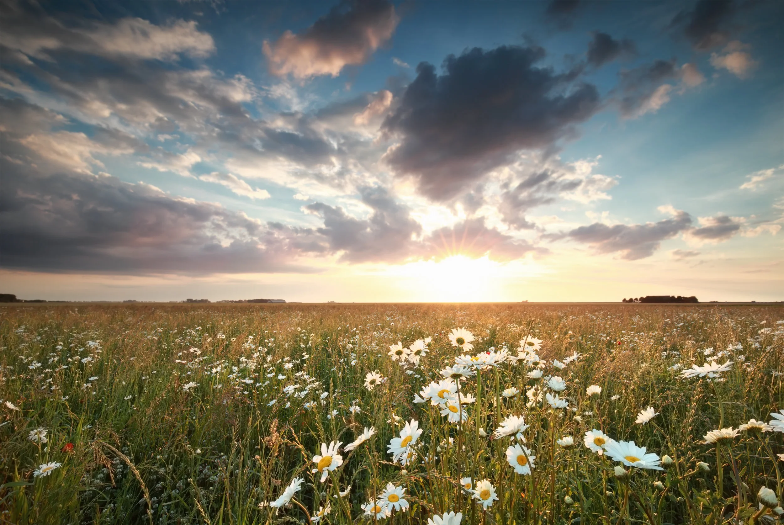 The Dynamics Of Alignment