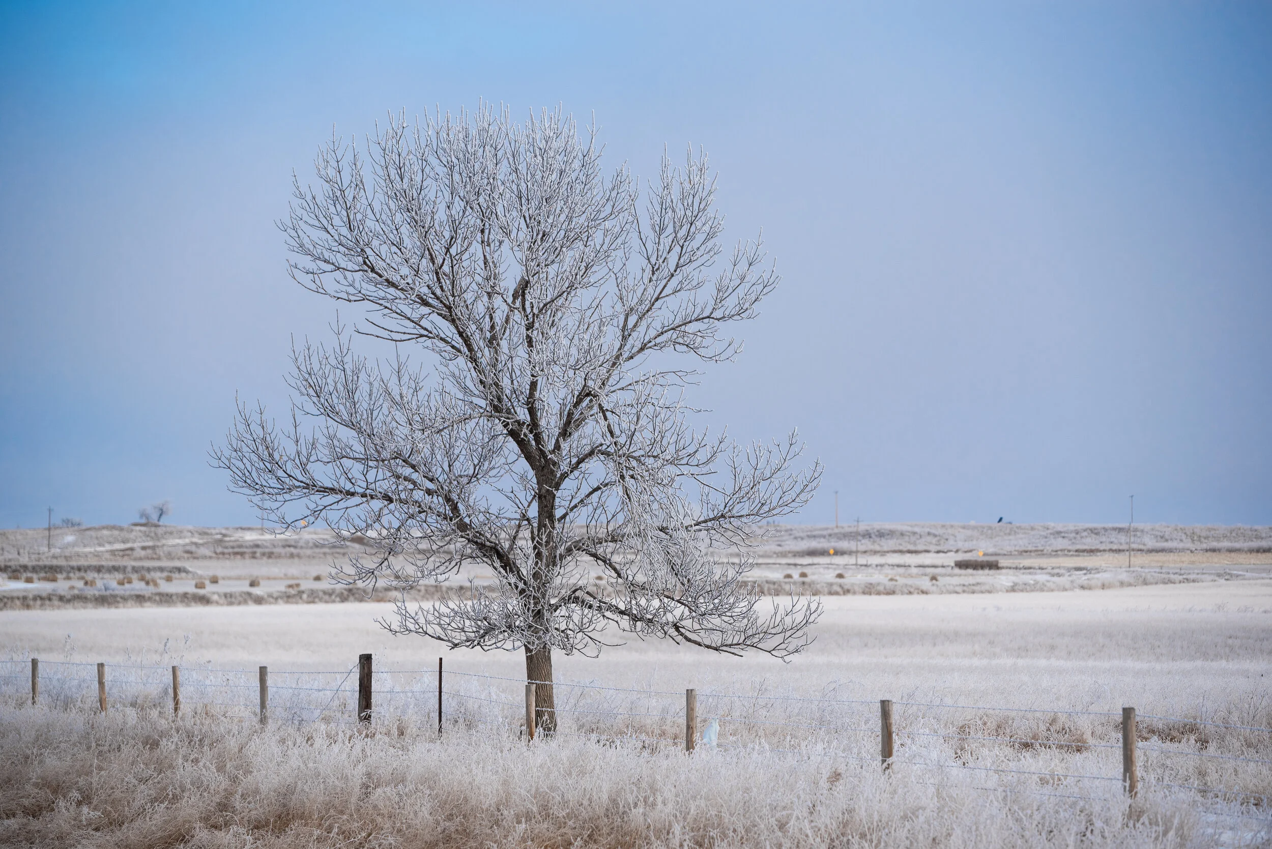 DSC_2207.JPG