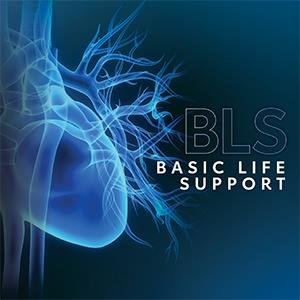 BLS logo.jpeg