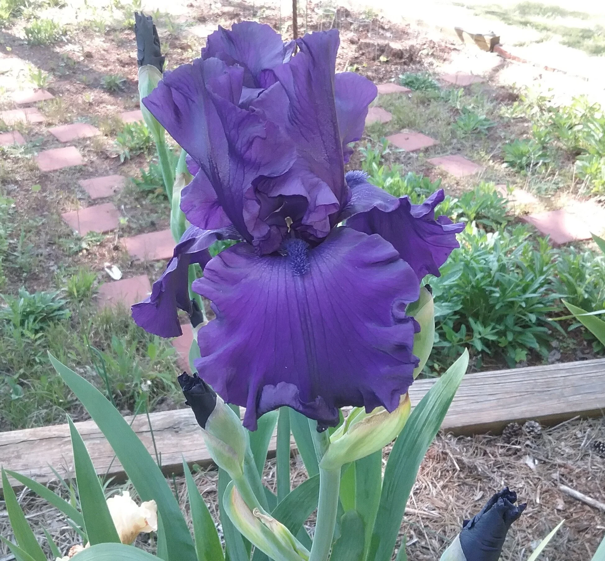 20180430_163547.jpg