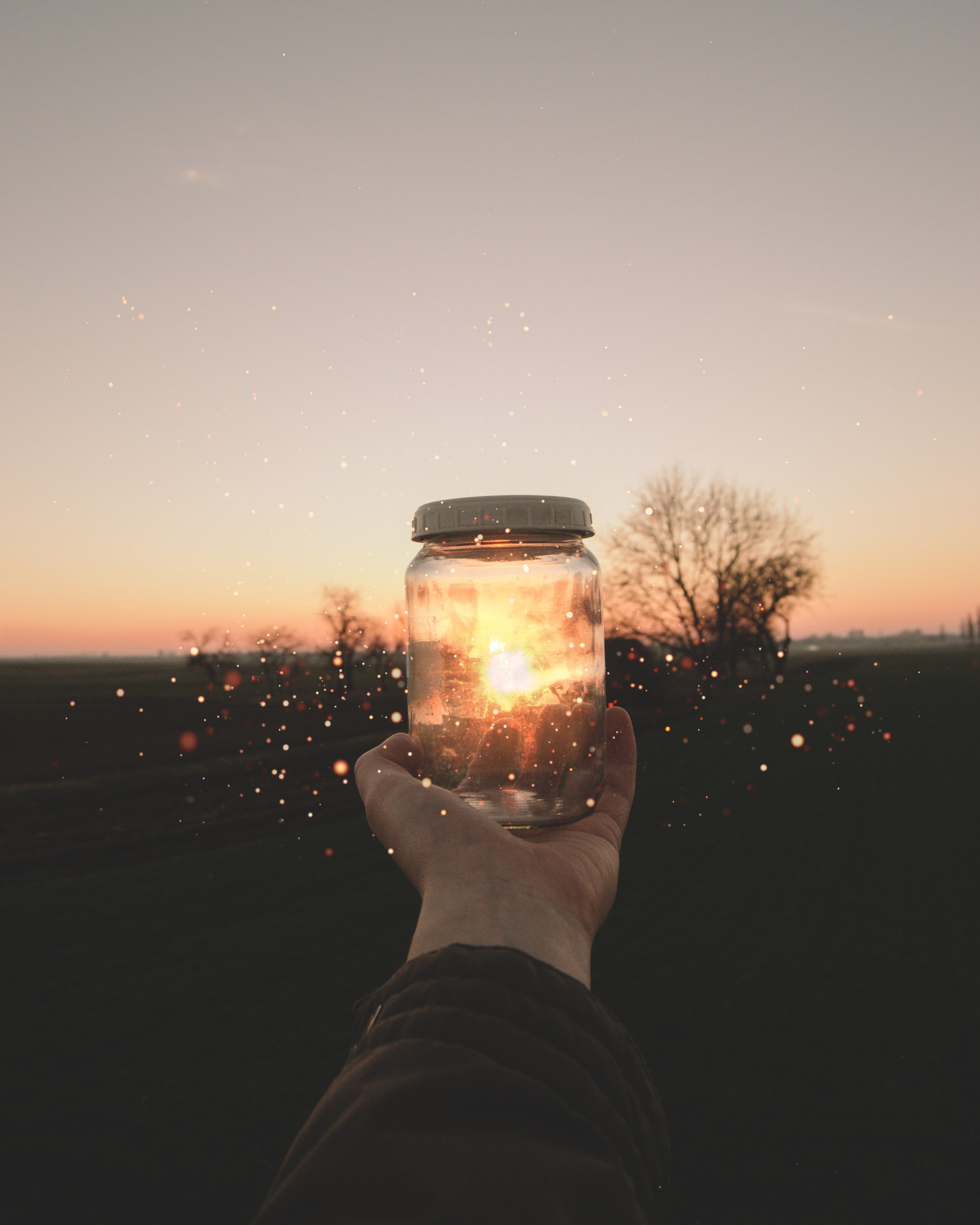 Fireflies in jar potential - milan-popovic-YjN1l87BUOk-unsplash.jpg