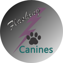 Flashing Canines Agility Club