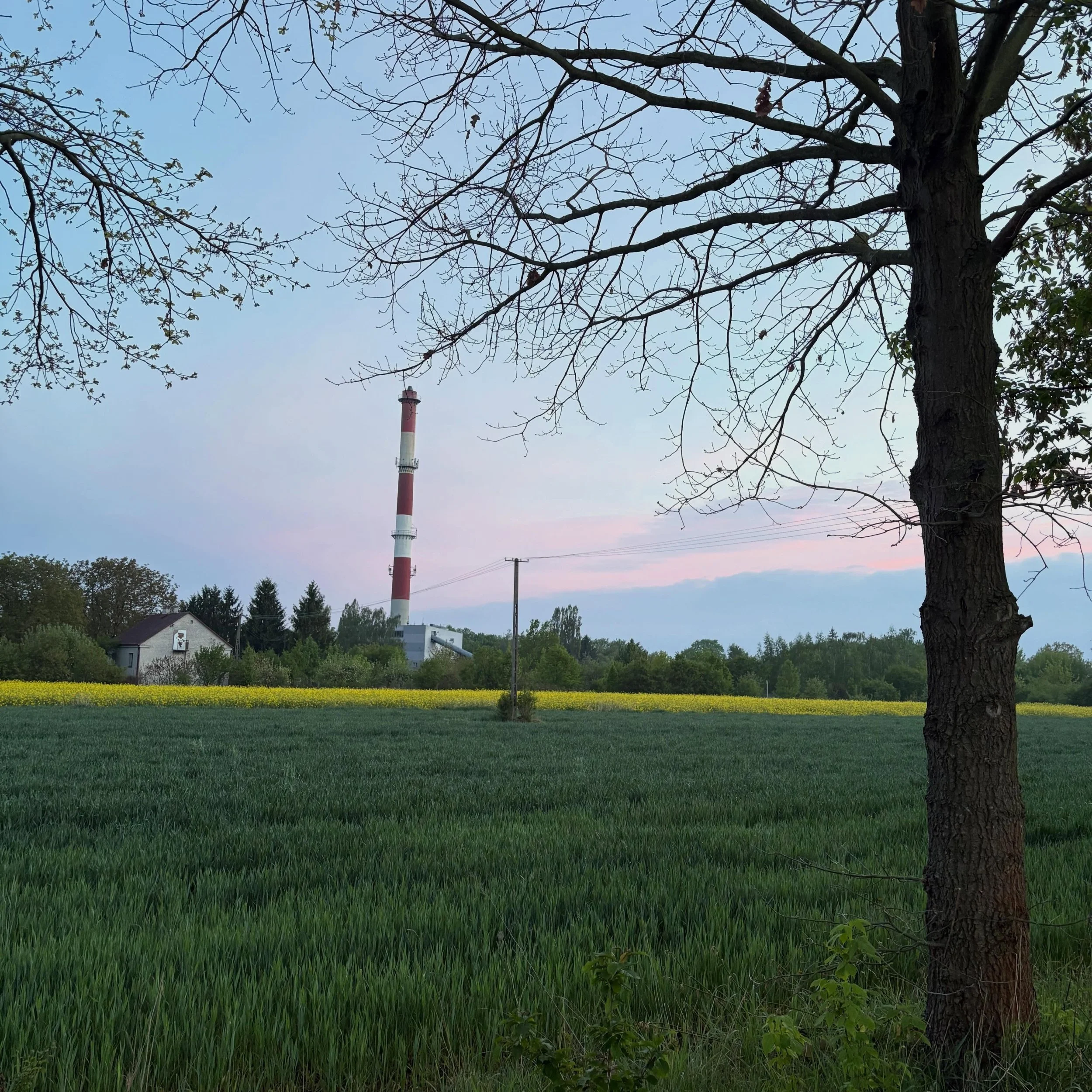Just totally random photos from my walk this evening in Poland! #poland #family #walk #steps #relax