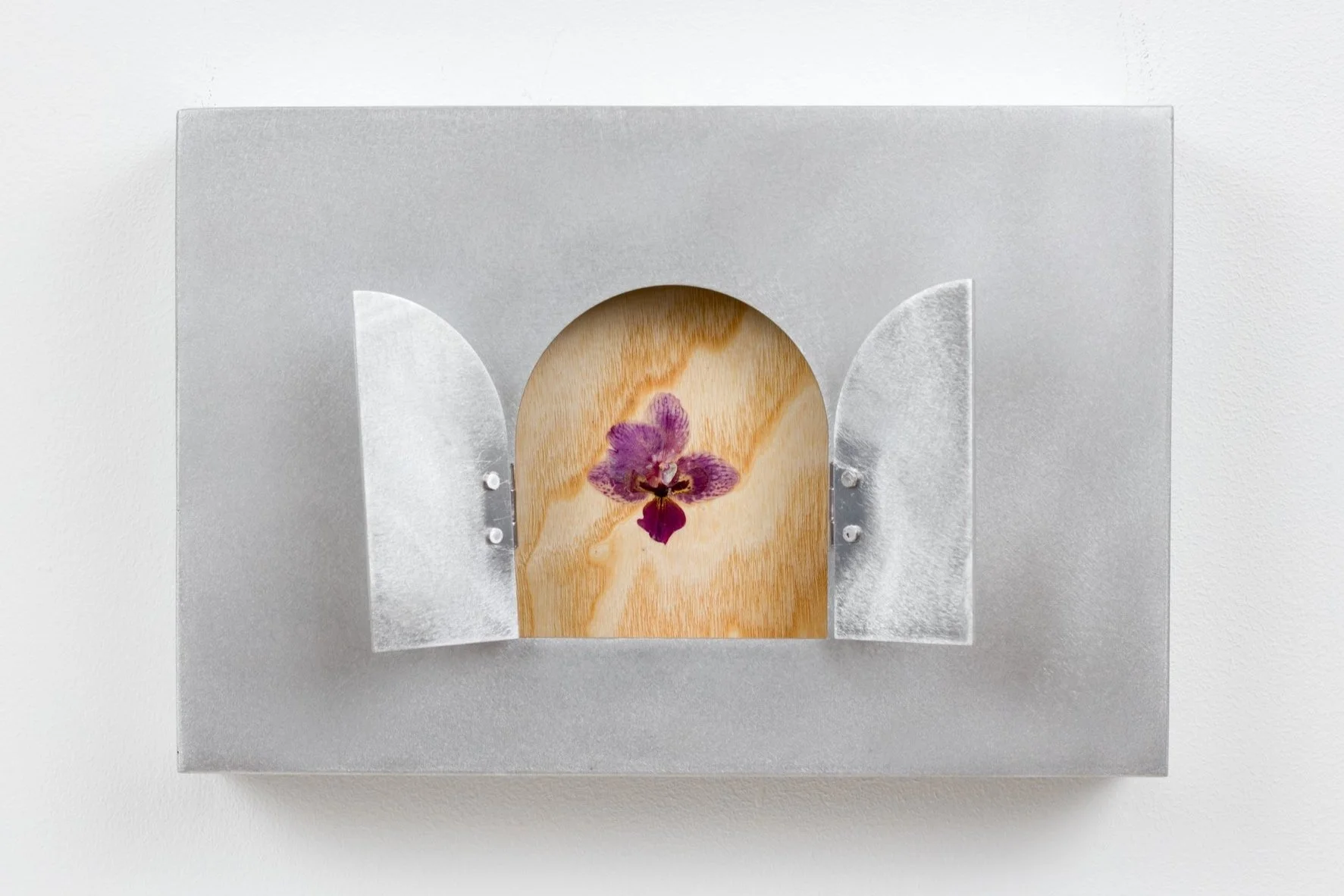    Flower Box 02  (2024)  20 x 30 x 4.5 cm Ash, aluminium, orchid   Photo by  Jack Elliot Edwards  @  San Mei Gallery  2024 