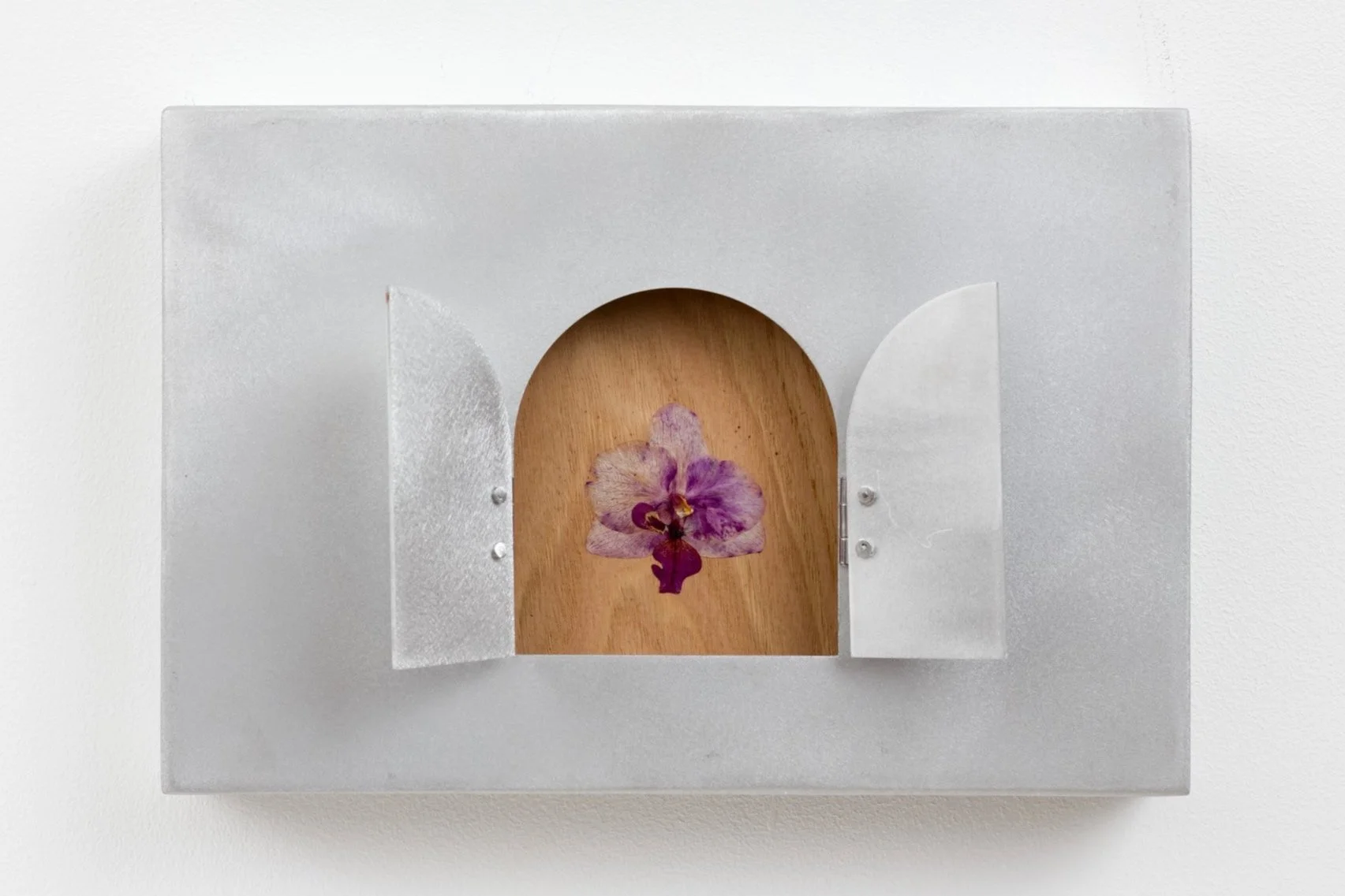    Flower Box 03  (2024)  20 x 30 x 4.5 cm Cherry, aluminium, orchid   Photo by  Jack Elliot Edwards  @  San Mei Gallery  2024 