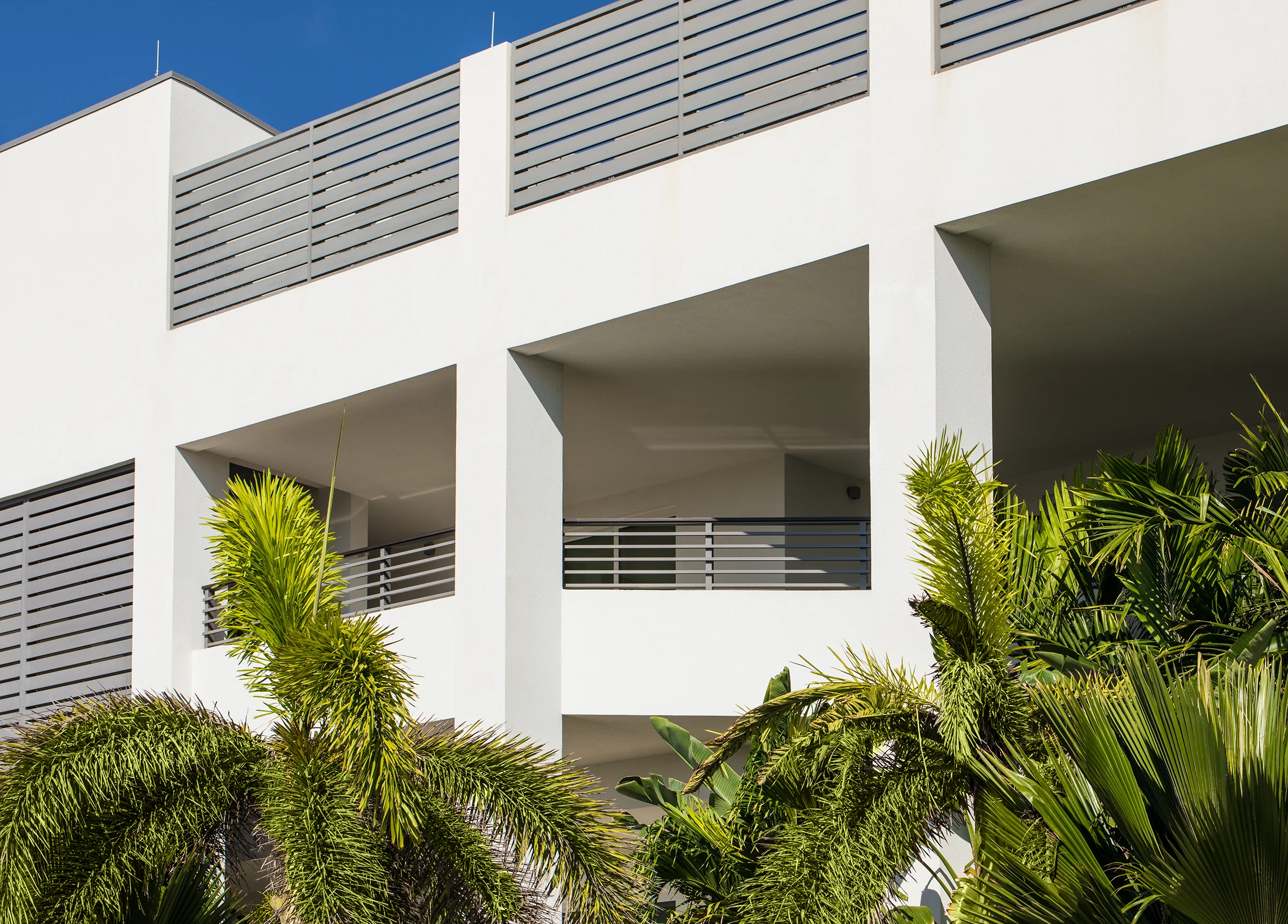 Bronte-Cayman-Islands-Oceana_010.jpg