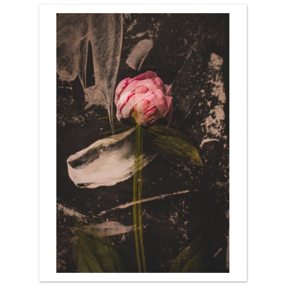 tmp-153-cHzTX7yZV1Gi