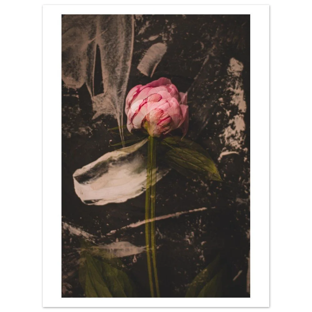 tmp-153-bFN3M57Bngsv