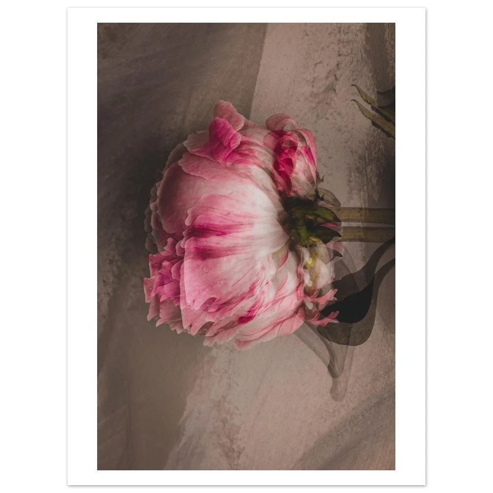 tmp-154-sl0jLRmzyBbo