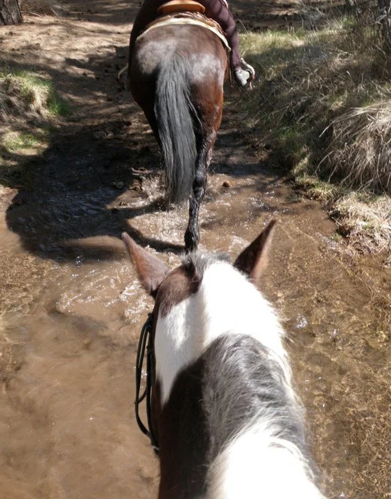 trail-ride-butts.jpg